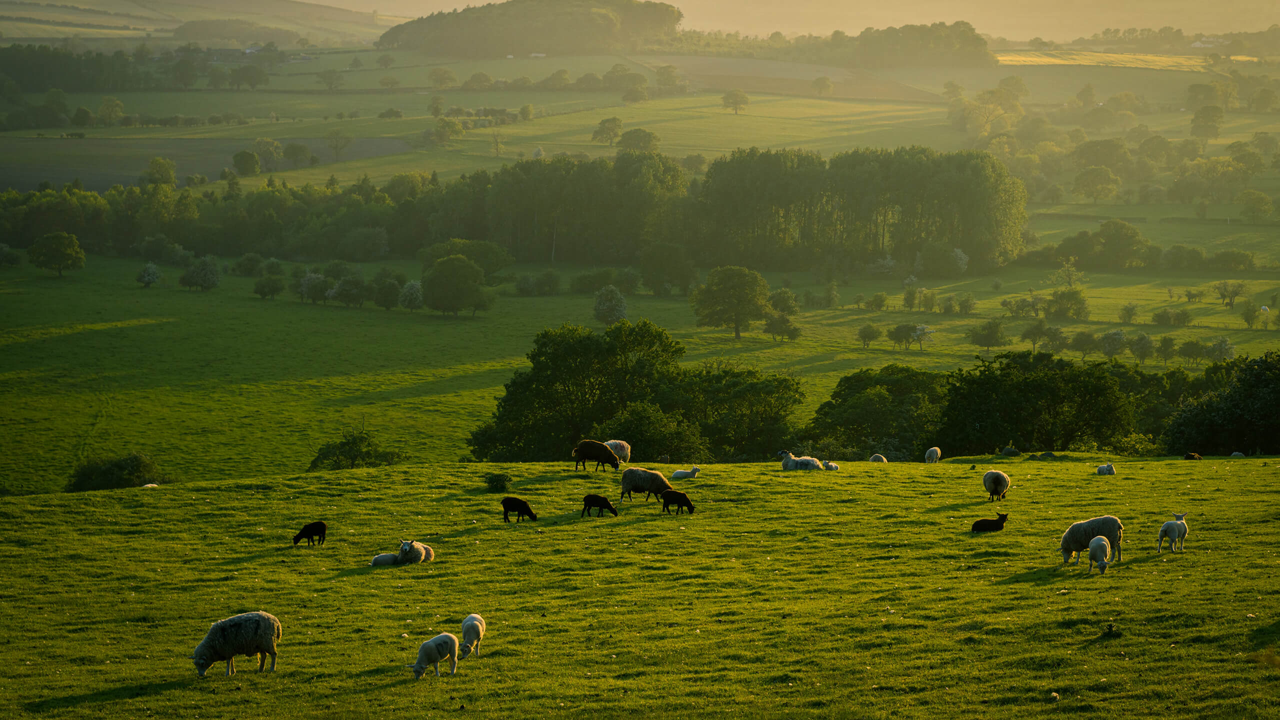 View of the Yorkshire Dales where Ben grew up